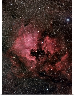 NGC 7000, The North America Nebula And Pelican Nebula