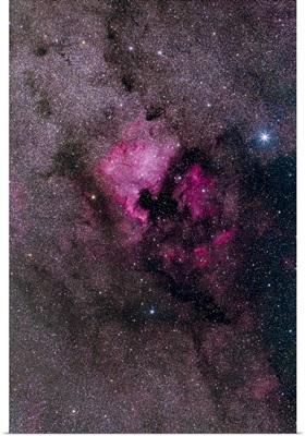 NGC 7000, The North America Nebula, In The Constellation Cygnus