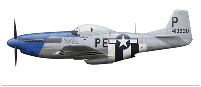 P-51D Mustang assigned to the 328th Fighter Squadron