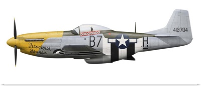 P-51D Mustang, nicknamed Ferocious Frankie
