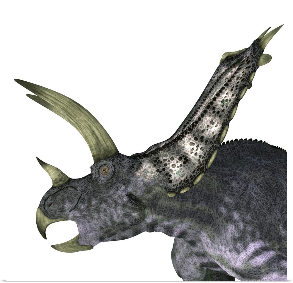 Pentaceratops dinosaur head.