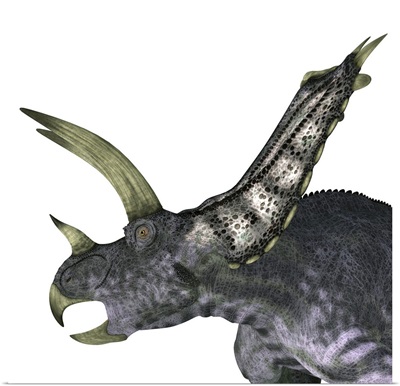 Pentaceratops Dinosaur Head
