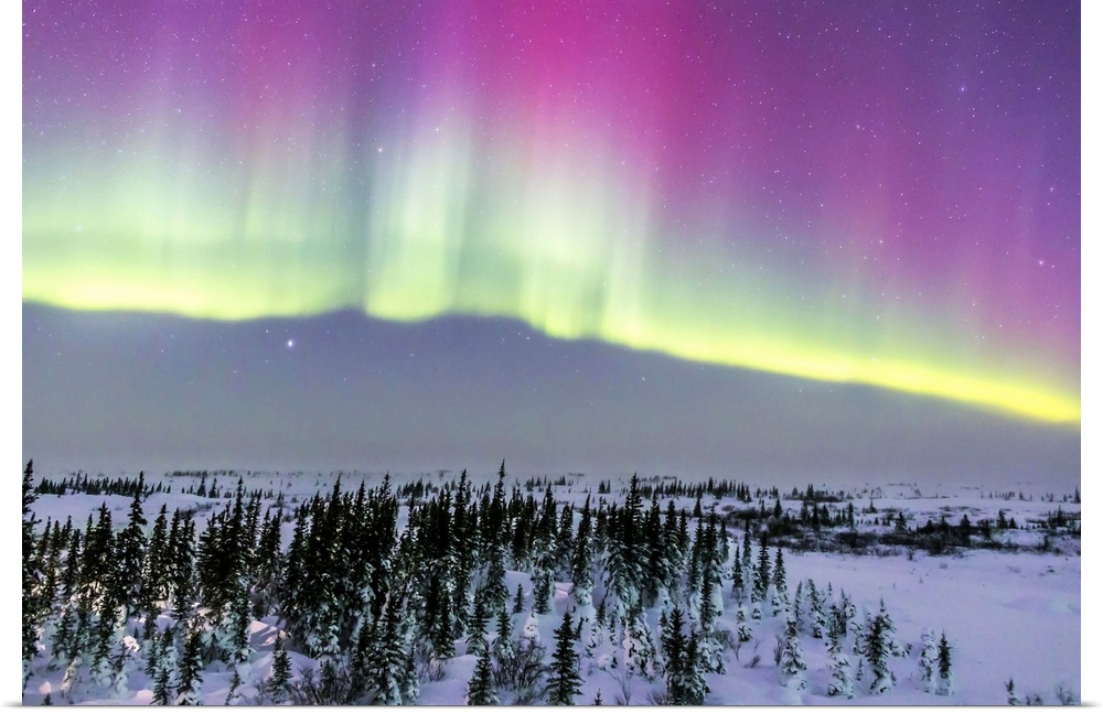 February 20, 2015 - Aurora borealis from Churchill, Manitoba, Canada. This is looking north toward a curtain with pink upp...