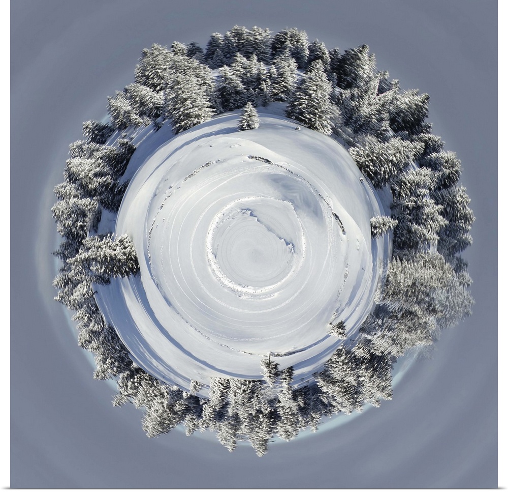 Planet of beautiful fir trees covered with snow in the Jura Mountains on a winter day in Switzerland.