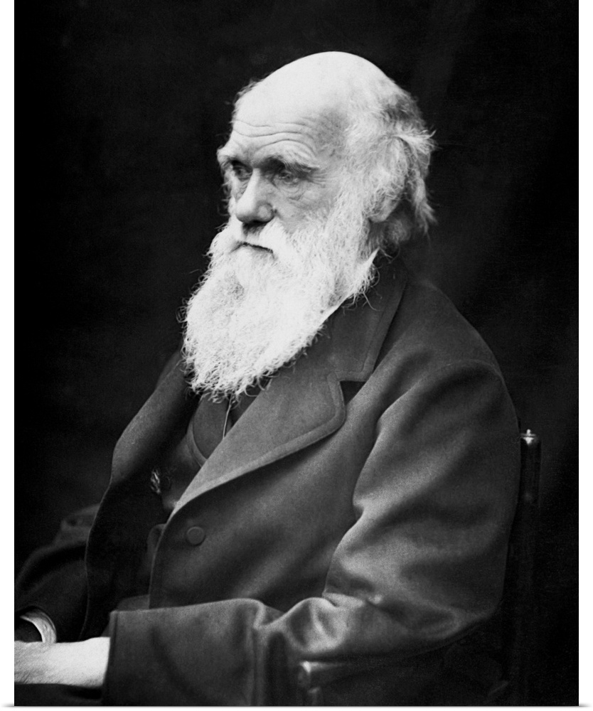 Portrait of naturalist and geologist Charles Darwin.