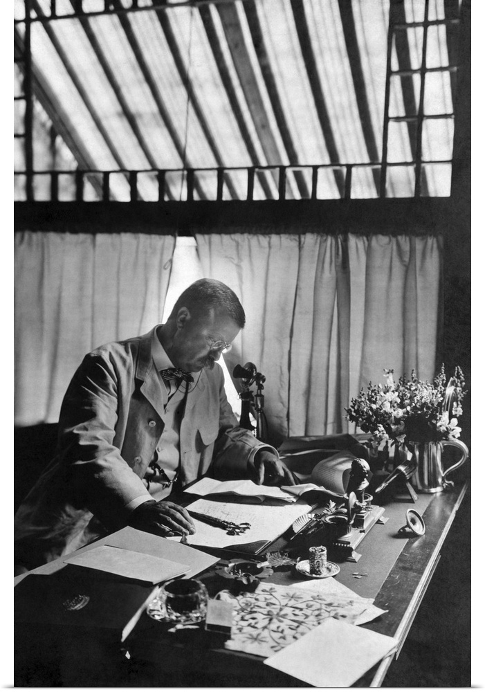 President Theodore Roosevelt working on a desk at his country home, Sagamore Hill, 1905.