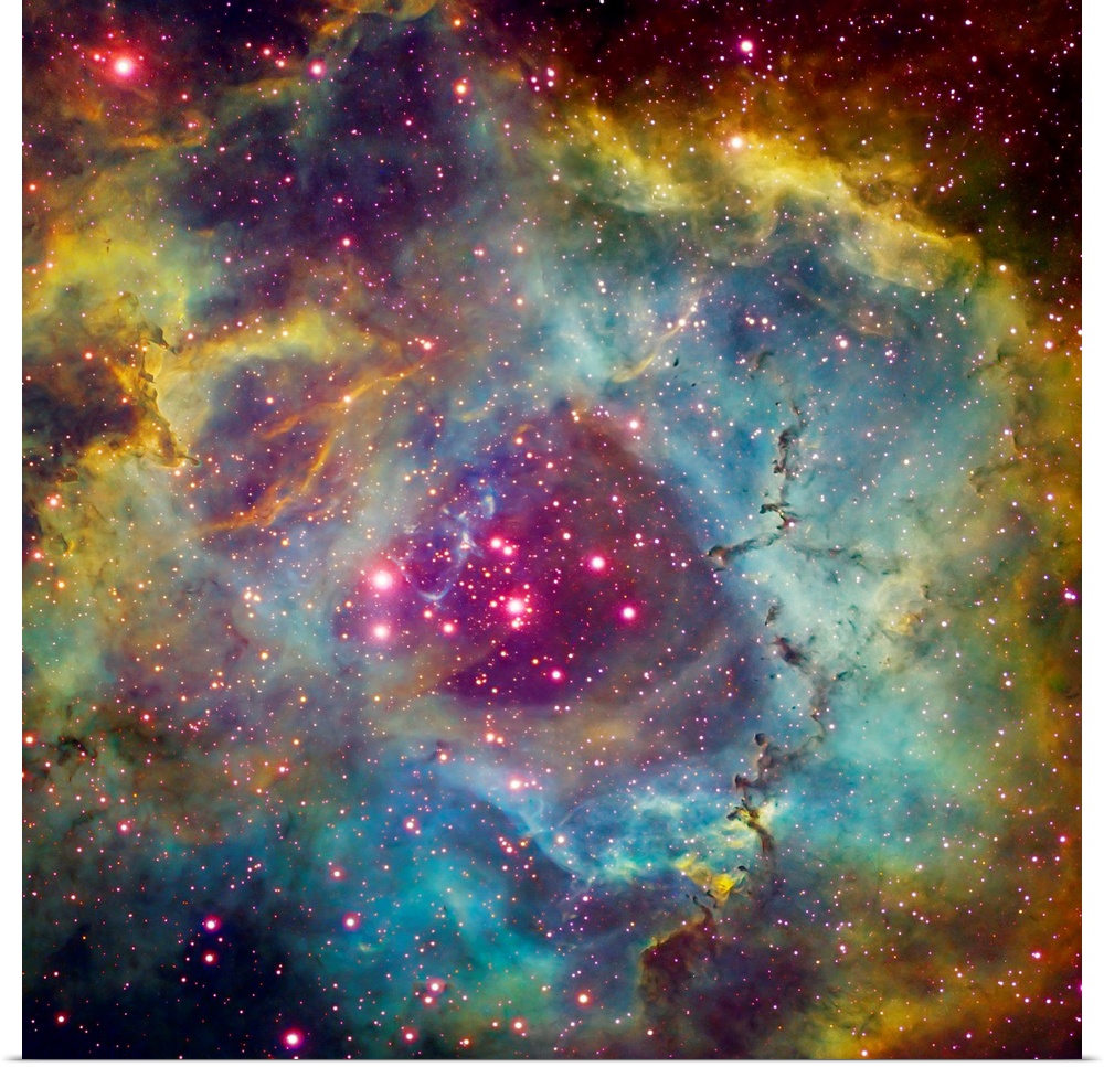 Large square photograph taken of a star filled sky against the vibrant background of Rosette Nebula in Monoceros.