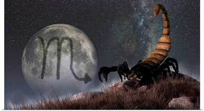 Scorpio is the eighth astrological sign of the Zodiac