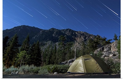 Star trails and a lone tent in the Inyo National Forest, California