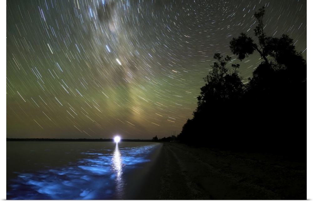 Star trails and bioluminescence, Gippsland Lakes, Australia.
