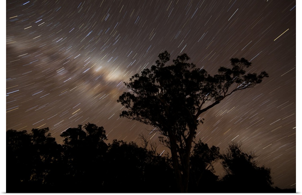 Star trails and the Milky Way, Glenmaggie, Victoria, Australia.