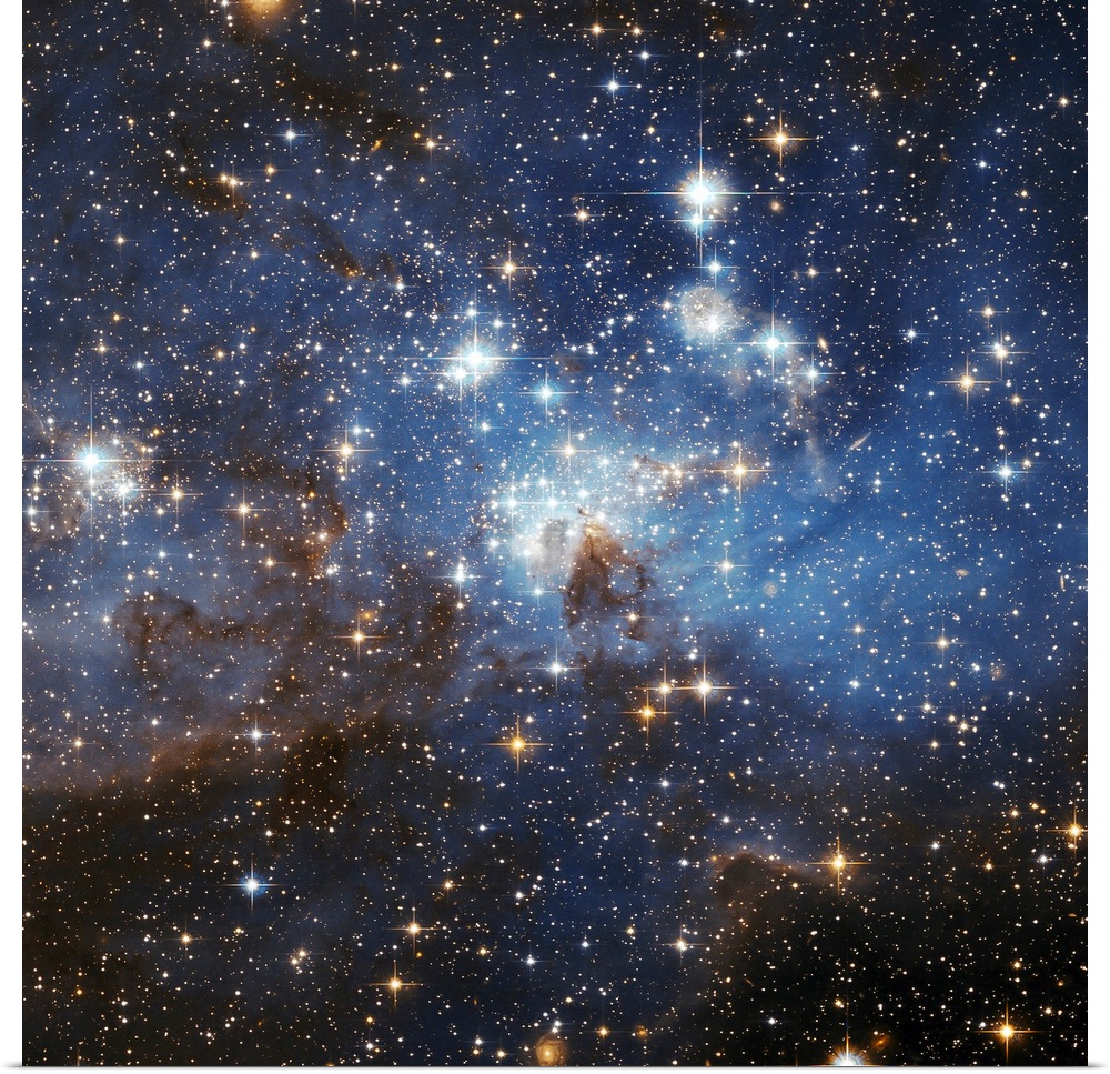 Clusters of thousands of stars in the Large Magellan Cloud.
