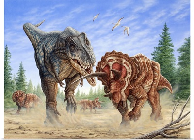 T-Rex Fighting A Group Of Triceratops