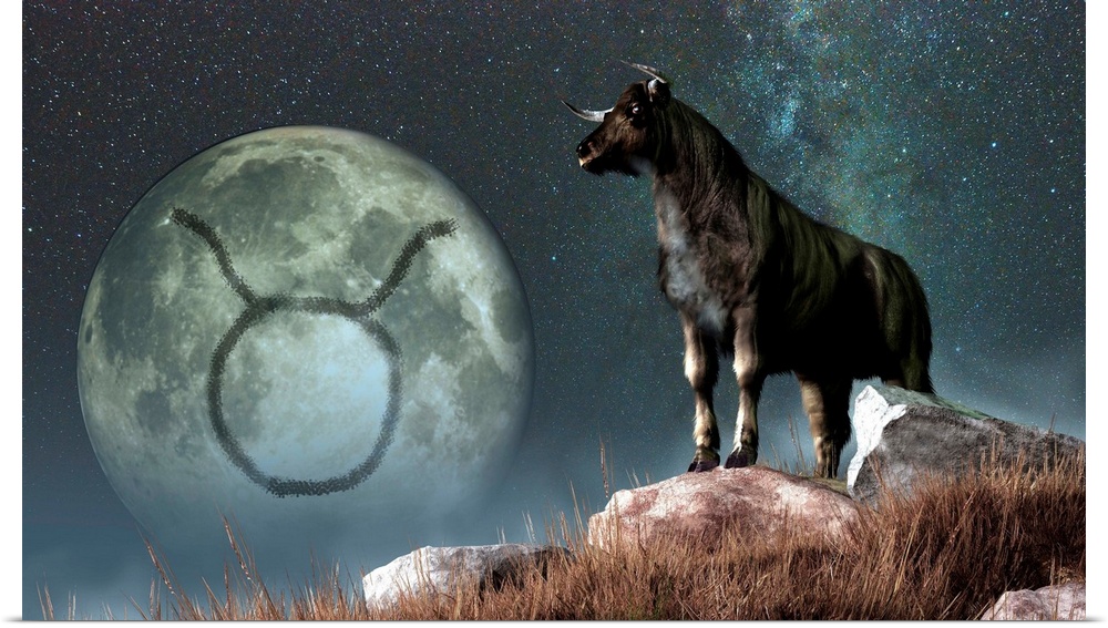 Taurus is the second astrological sign of the Zodiac. Its symbol is the bull here depicted as a black bull.