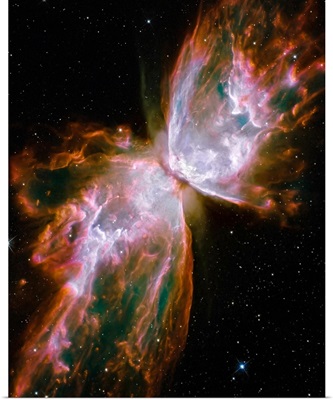 The Butterfly Nebula