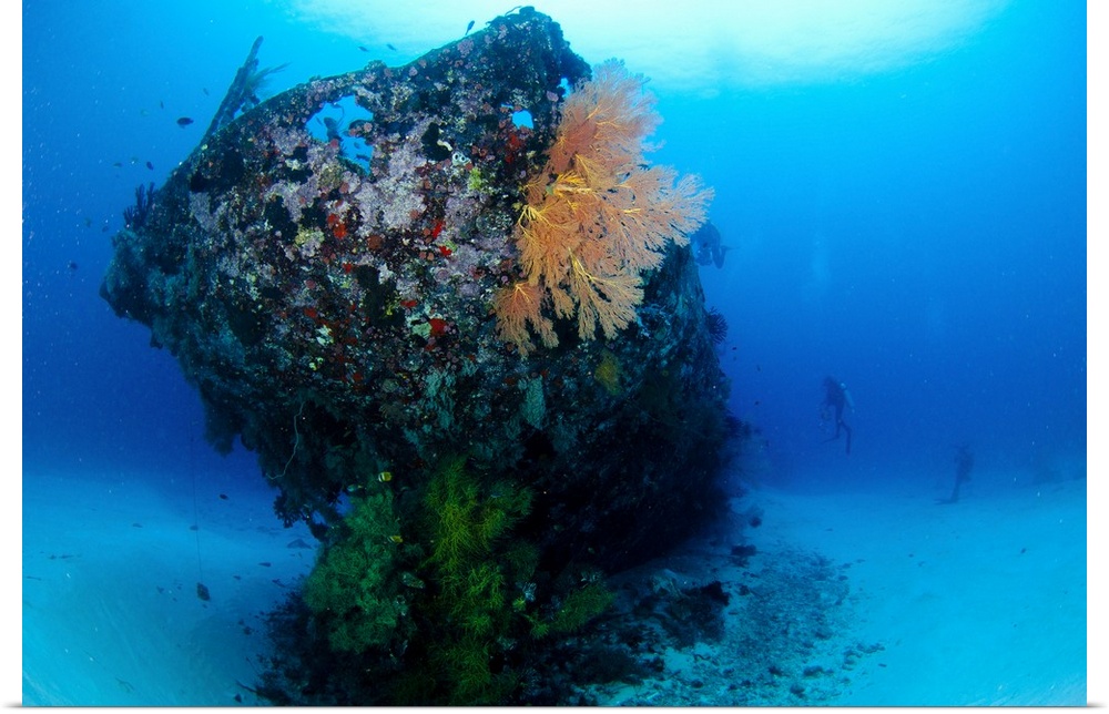 The coral encrusted stern of the Japanese Cross Wreck.
