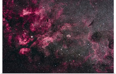 The Cygnus Star Cloud And Nebulosity