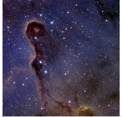 The Elephants Trunk Nebula in the star cluster IC 1396