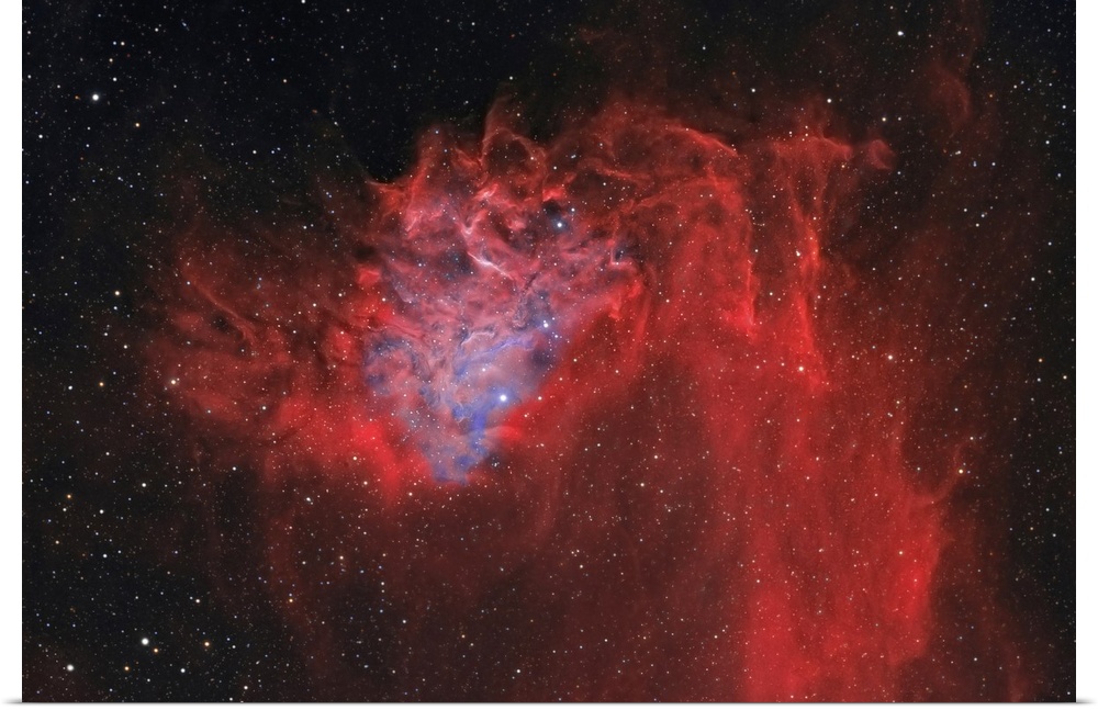 The Flaming Star Nebula, also known as IC 405.
