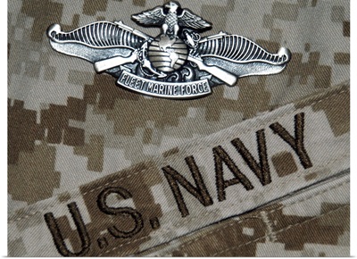 The Fleet Marine Force Warfare Specialist Pin