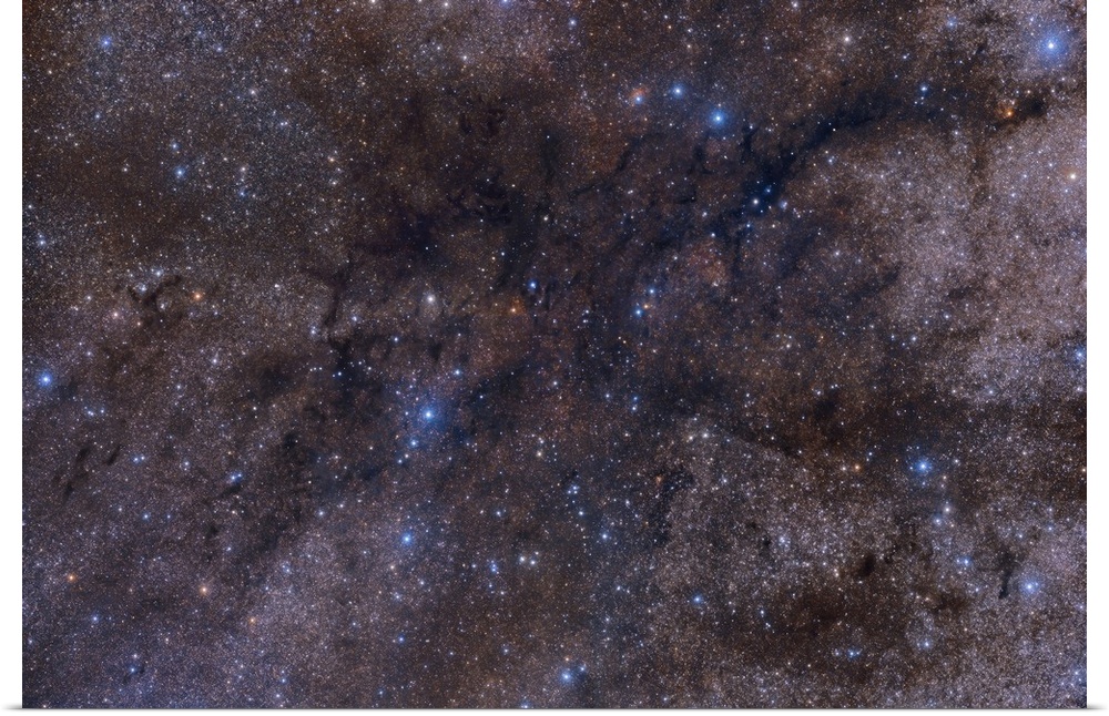 A large dark nebula complex, LDN 1003, that lies between the constellation Cygnus and Cepheus.