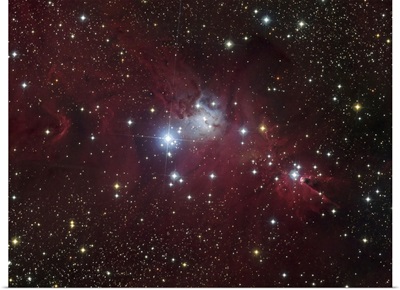 The NGC 2264 region showing the Cone Nebula, Christmas Tree Cluster, and Fox Fur Nebula