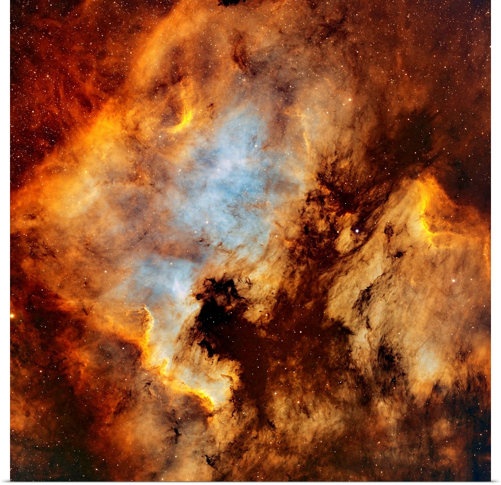 The North America Nebula and Pelican Nebula in Cygnus.