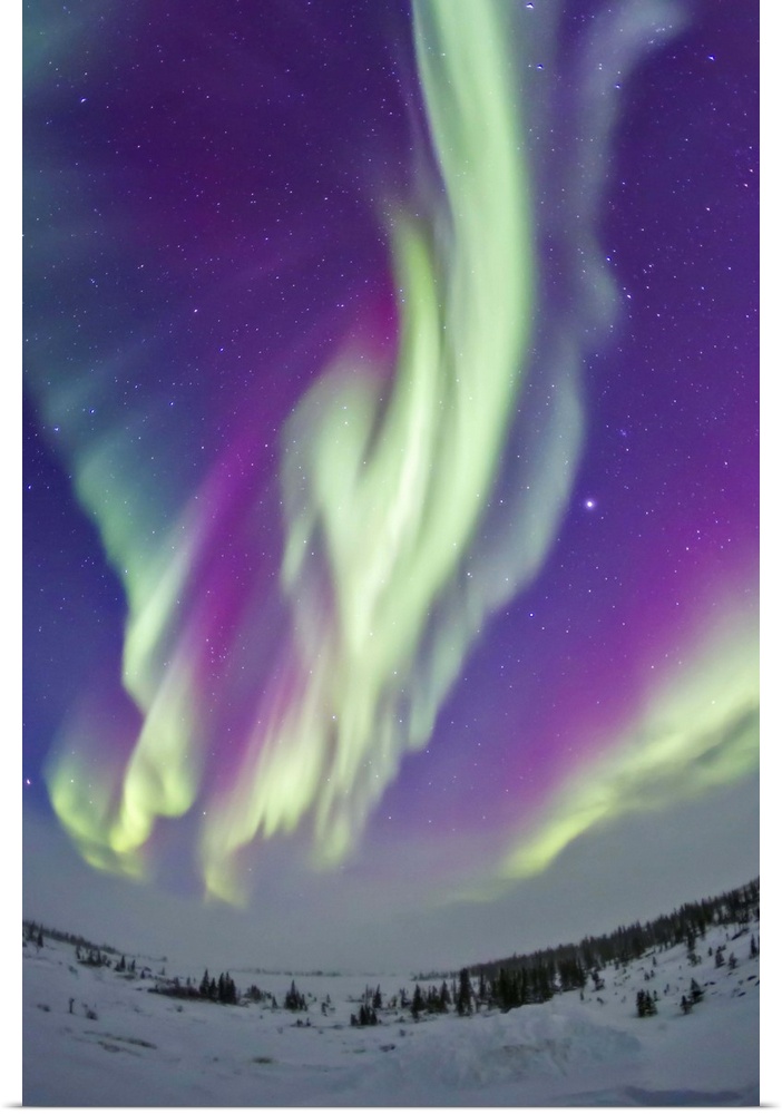 February 16, 2015 - The Northern Lights in Churchill, Manitoba, Canada, at 58 degrees latitude, and under the auroral oval...