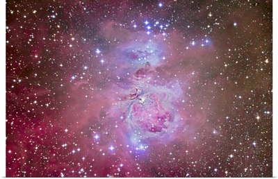The Orion Nebula Region