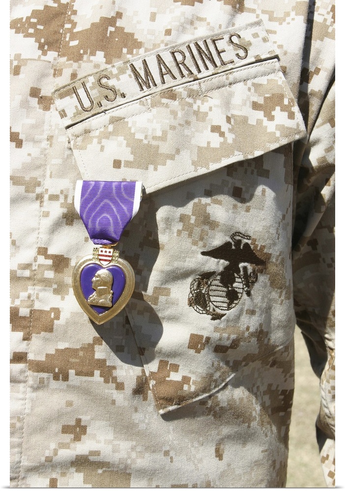 Marine Corps Base Camp Lejeune, North Carolina, February 18, 2004 ae" The Purple Heart award hangs over the heart of a U.S...