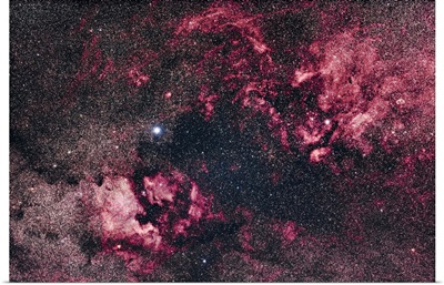 The Rich Nebulosity In Cygnus, With The North America Nebula And Crescent Nebula