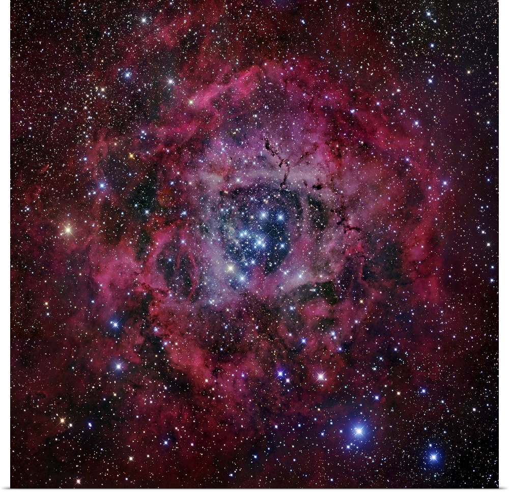 Square, oversized wall hanging of the Rosette Nebula, surrounded by vibrant clouds and the blackness of space full of stars.