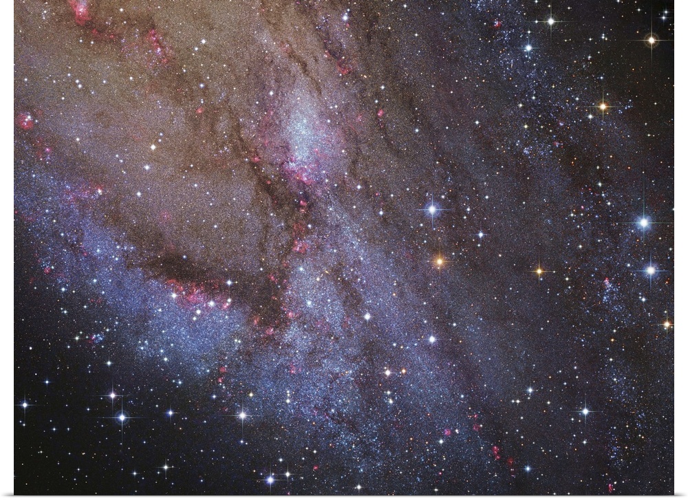 The southwest spiral arm of Messier 31.