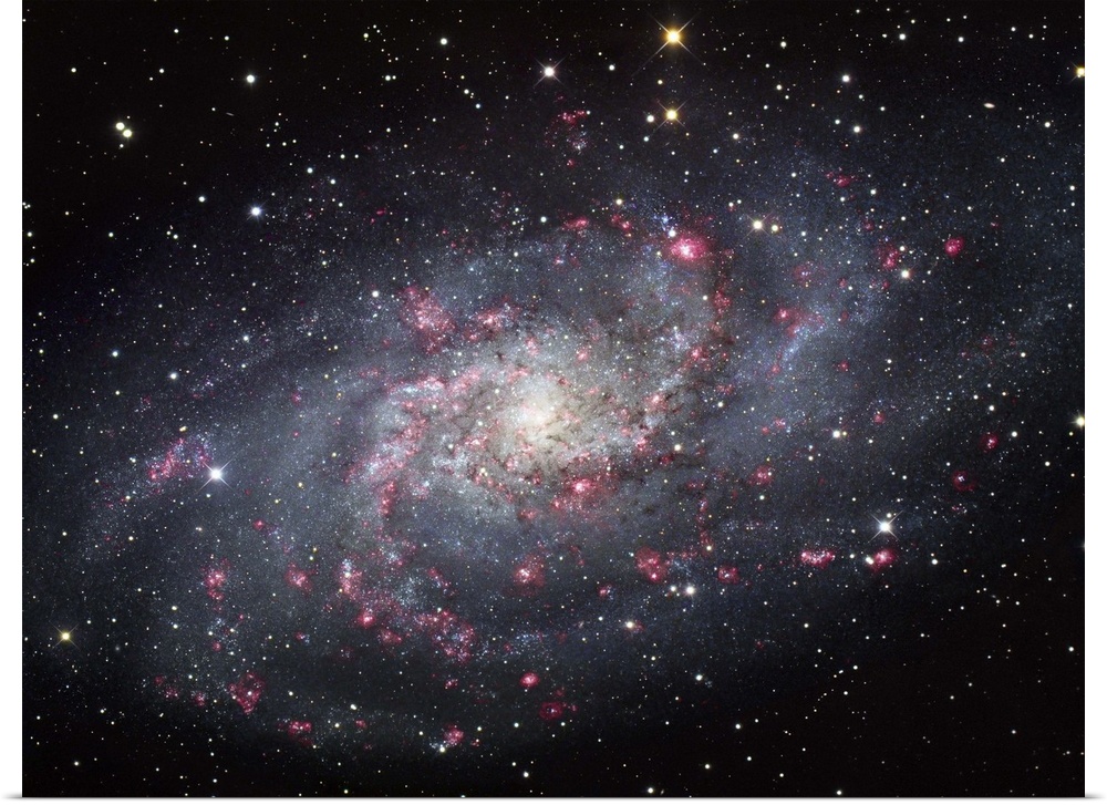 The Triangulum Galaxy, also known as Messier 33 or NGC 598, is a spiral galaxy about 3.14 million light-years way in the c...