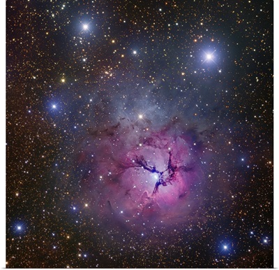 The Trifid Nebula located in Sagittarius
