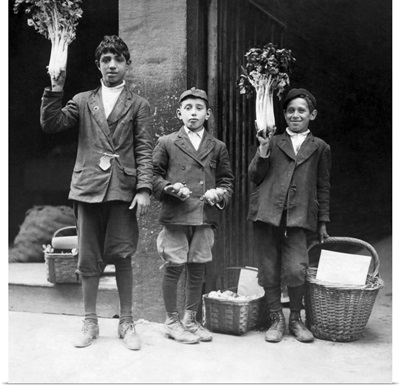 Three Boys Selling Fruits And Vegetables On The Streets, 1909