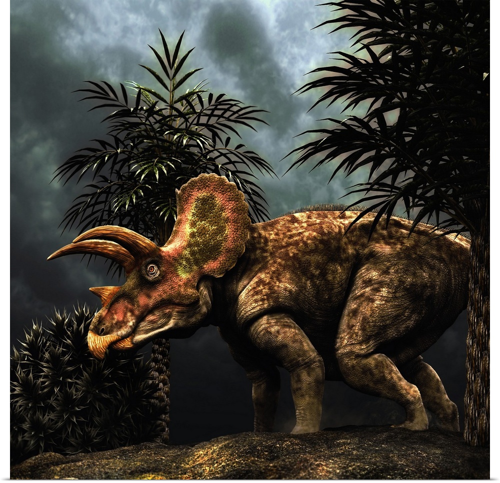 Triceratops was a herbivorous dinosaur from the Cretaceous period.