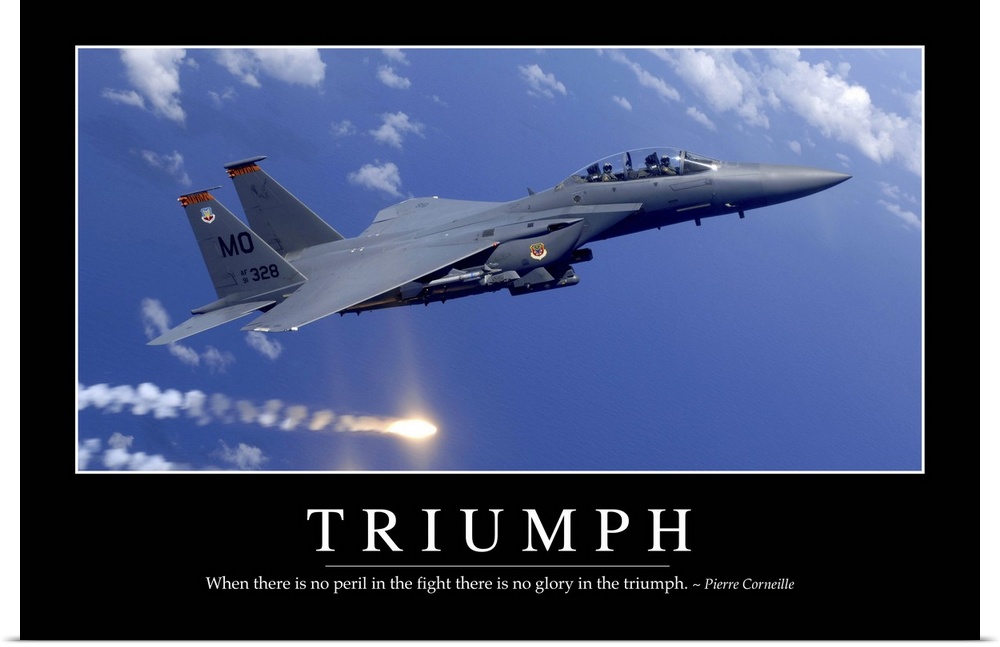 Triumph:: Inspirational Quote and Motivational Poster