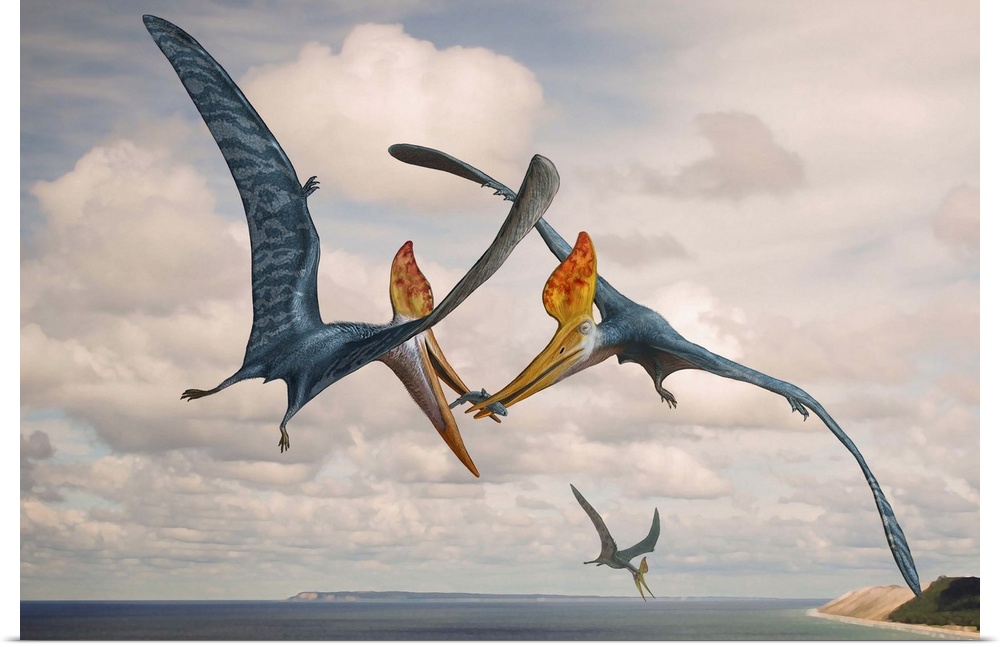 Two Geosternbergia pterosaurs fighting over small fish.
