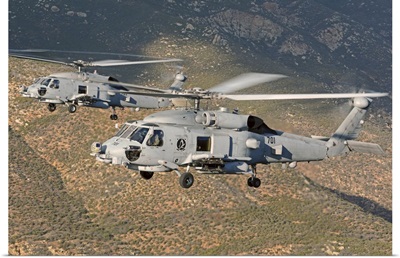 Two MH-60 helicopters of the U.S. Navy Blue Hawks squadron