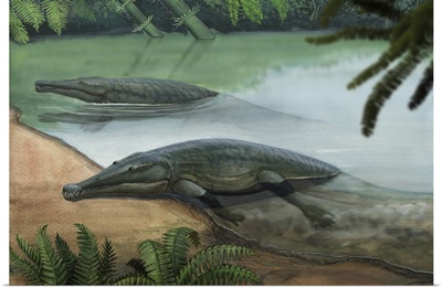 Two prehistoric Platyoposaurus stuckenbergi swim ashore