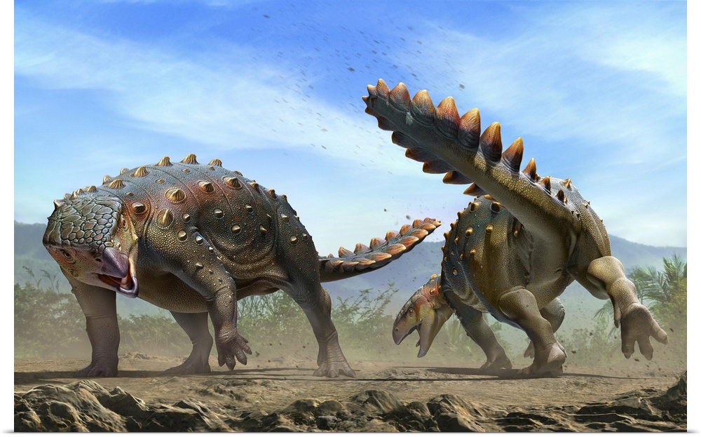 Two Stegouros elengassen dinosaurs fighting.