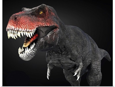 Tyrannosaurus Rex Dinosaur, Close-Up