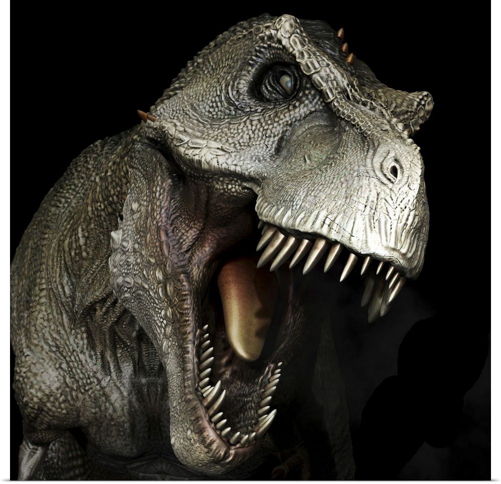 Tyrannosaurus rex dinosaur head, front view.