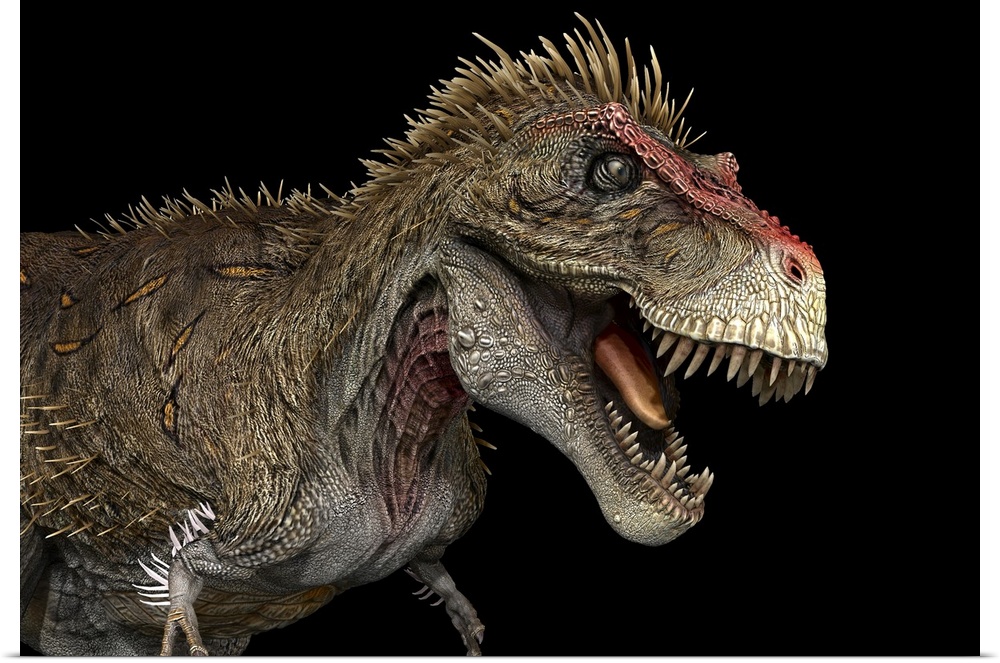 Tyrannosaurus rex dinosaur, profile view.