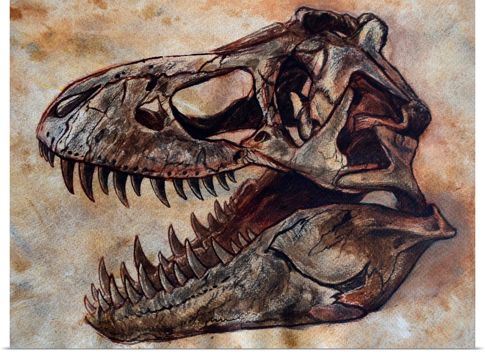 Tyrannosaurus rex dinosaur skull on textured background.