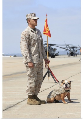 U.S. Marine and the official mascot for Marine Corps Air Station Miramar