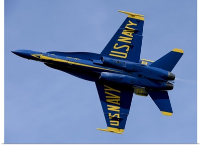 US Navy Flight Demonstration Squadron, The Blue Angels
