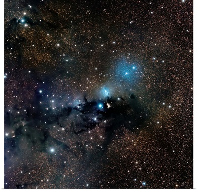 VdB 123 reflection nebula in the constellation Serpens