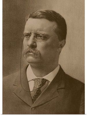 Vintage American history print of a younger President Theodore Roosevelt